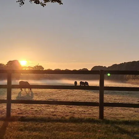 Le Clem's * Байе